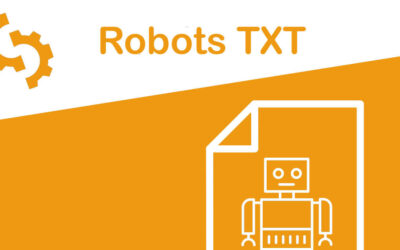 La mejor guía sobre el archivo robots.txt para SEO
